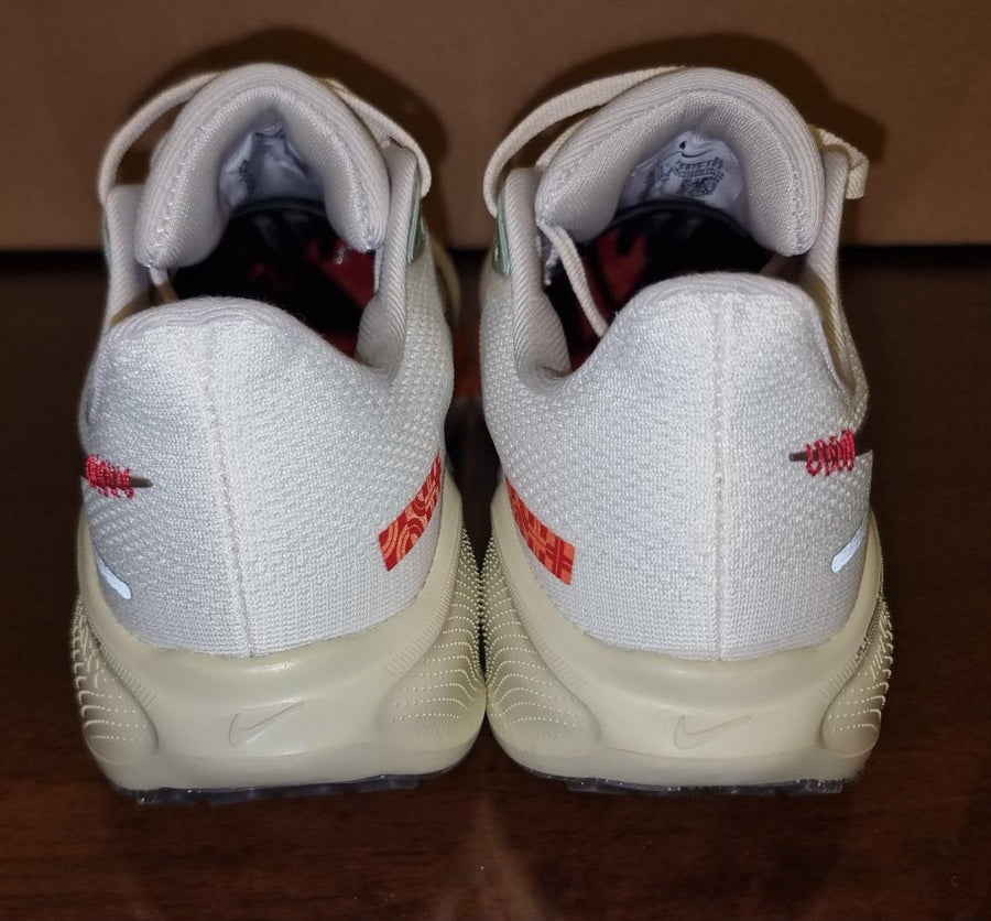 Air Zoom Pegasus 41