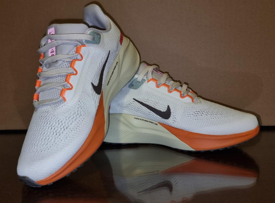 Air Zoom Pegasus 41